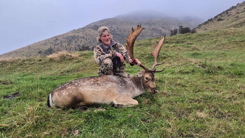 Guided or unguided fallow and wallaby hunts Carousel 2