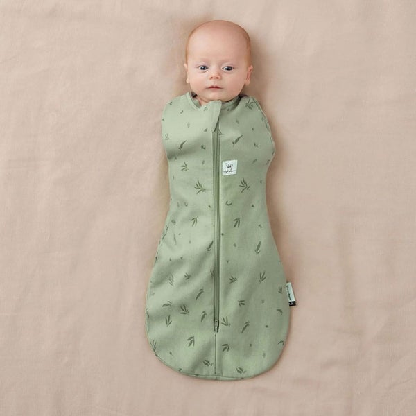 ergopouch ergoCocoon Swaddle (1 tog) - Willow Carousel 1