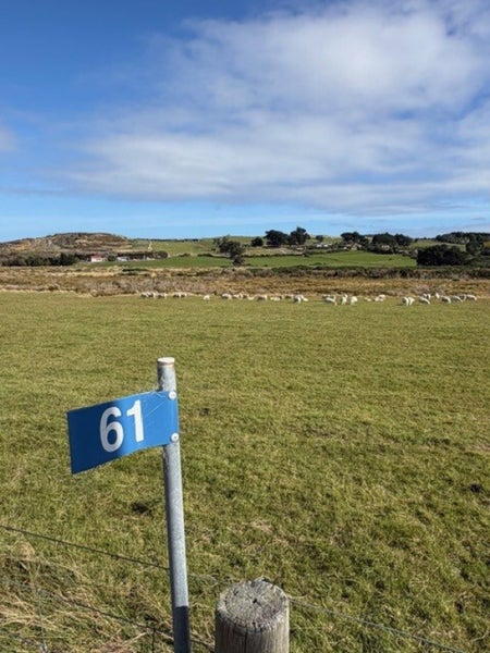 61 Clark Road, Omaui, Invercargill, Southland
