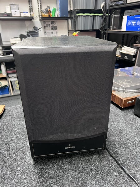 Welling 10inch Subwoofer WS-10 Carousel 1