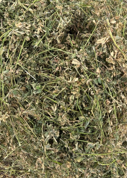 Premium Lucerne Hay Carousel 1