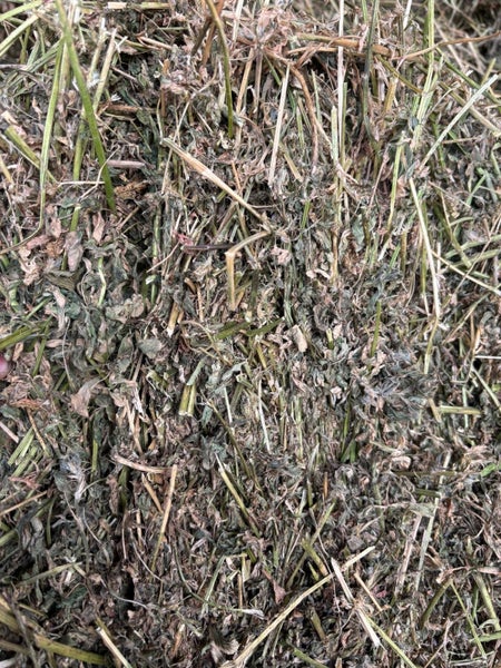 Premium Lucerne Hay Carousel 2