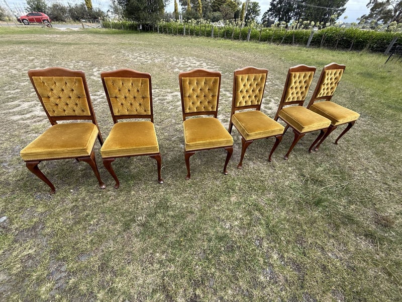 Walnut Dining Chairs x 8 Carousel 12