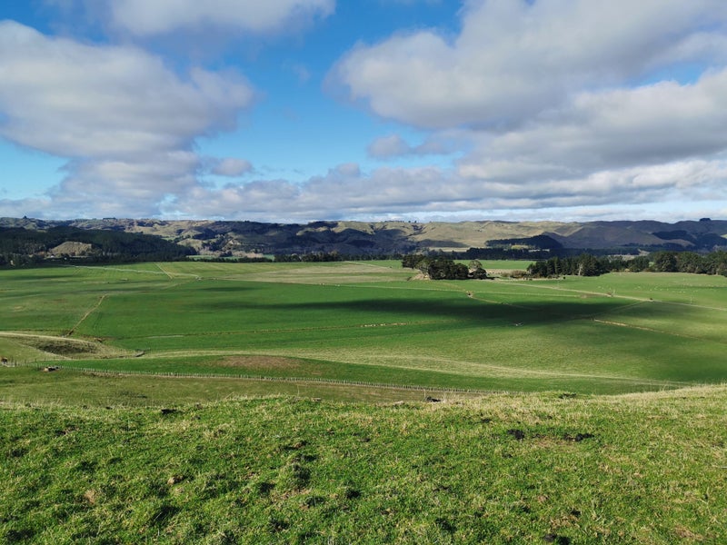 RLP - Makarkara Carousel 1