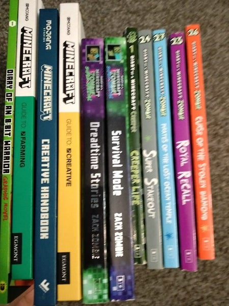 Minecraft Books Carousel 2
