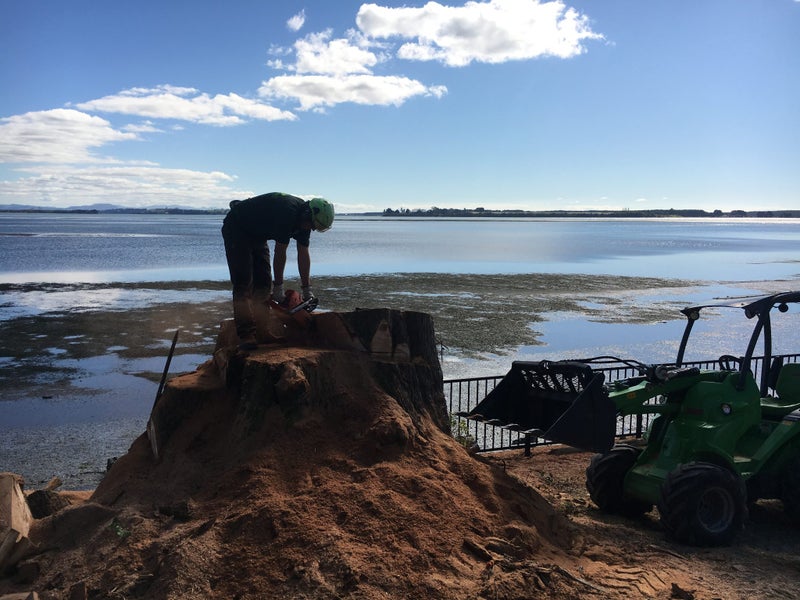 Tree Wise Men Ltd Carousel 9