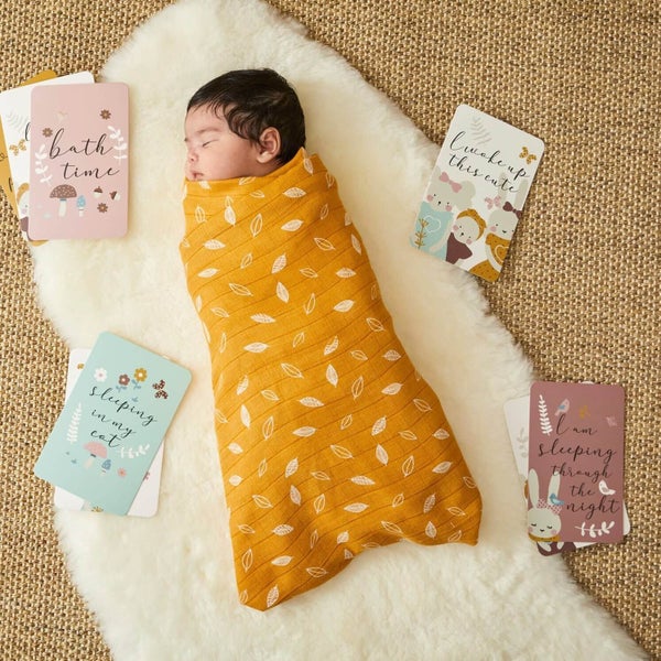 In The Meadow Baby Milestone Cards - Jiggle & Giggle Carousel 4