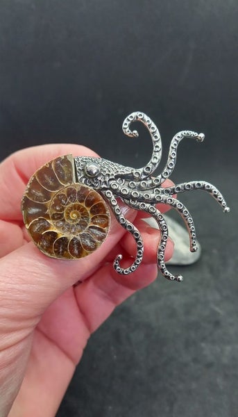 Ammonite fossil brooch - with small crystal beginning formations Carousel 1