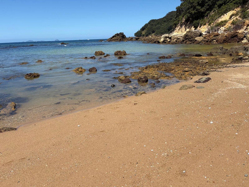 Image 1 of 36
