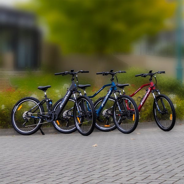 Electric Bike