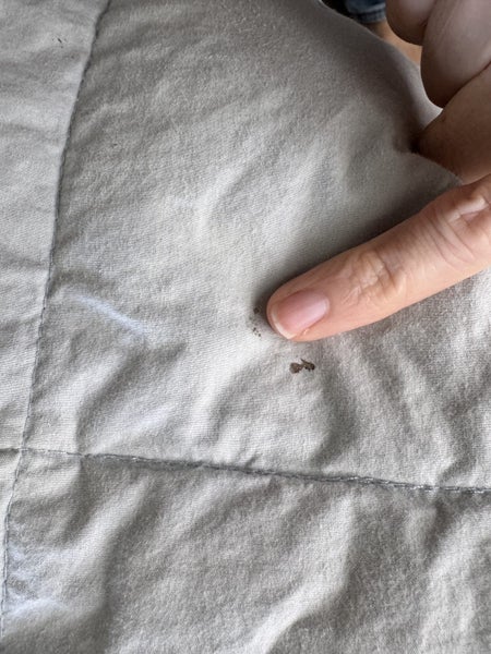 Fairydown King Blanket Carousel 9