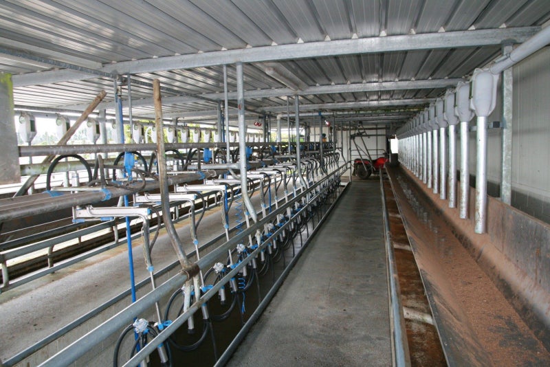 Image 2 of 20