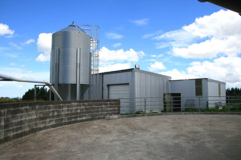 Image 3 of 20