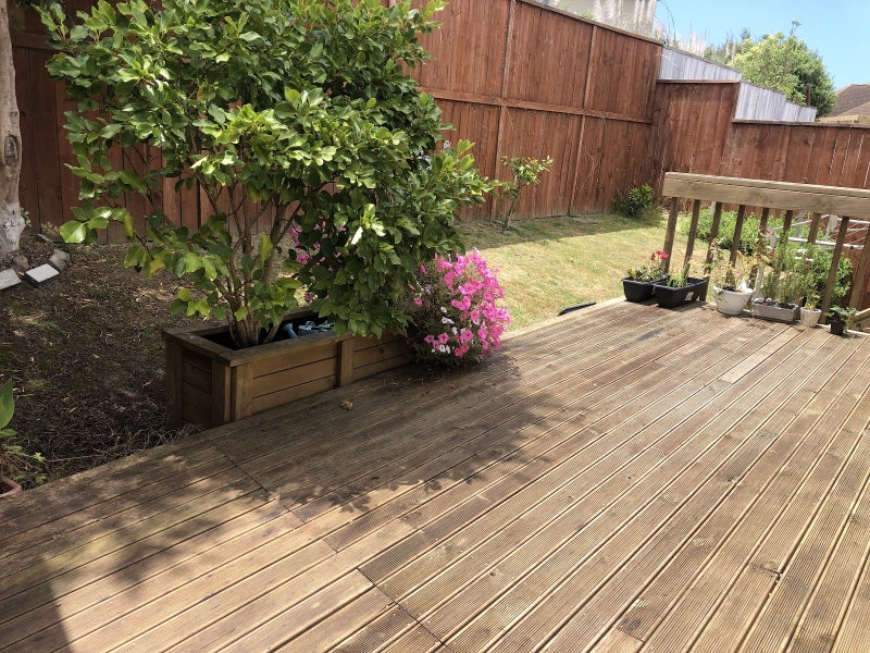 Image 3 of 36