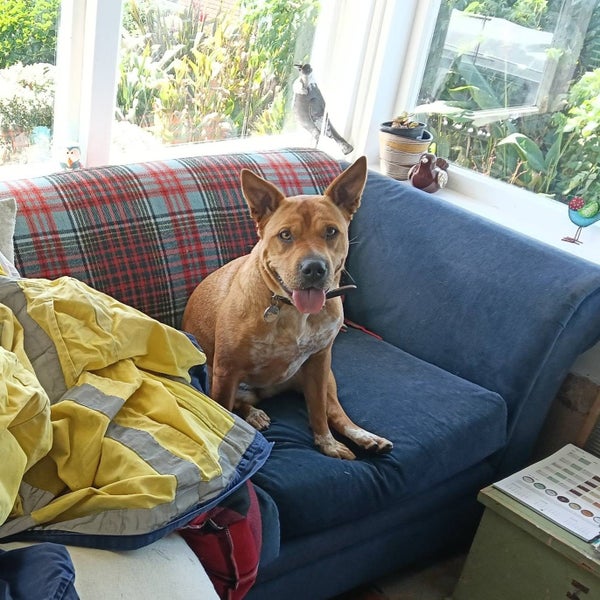 LOST - Link is Missing Carousel 2