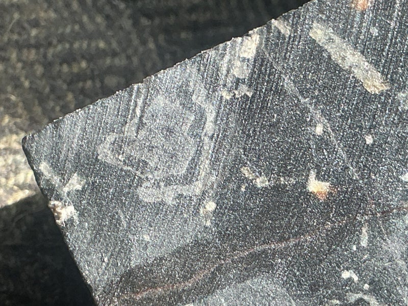 RARE CM STONY IRON COARSE OCTAHEDRITE METEORITE. VERY RARE.