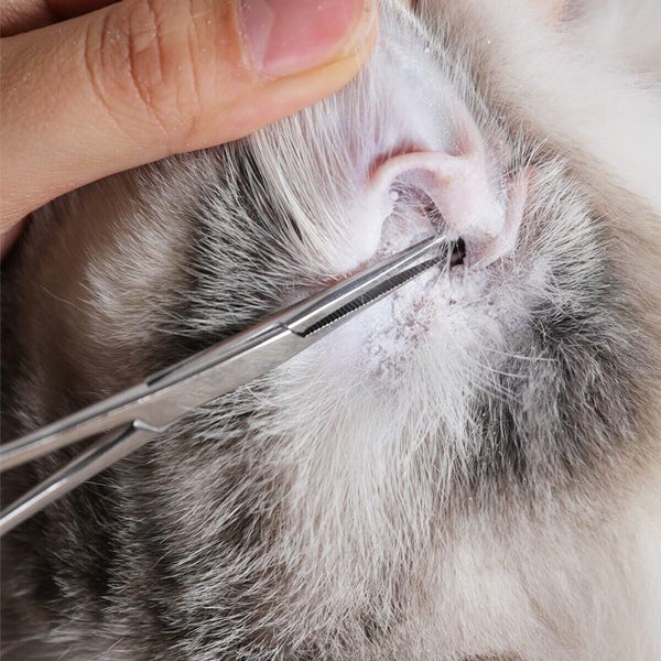 14cm Pets Grooming Ear Hair Puller Curved Locking Tweezer Hemostat Forcep Carousel 2