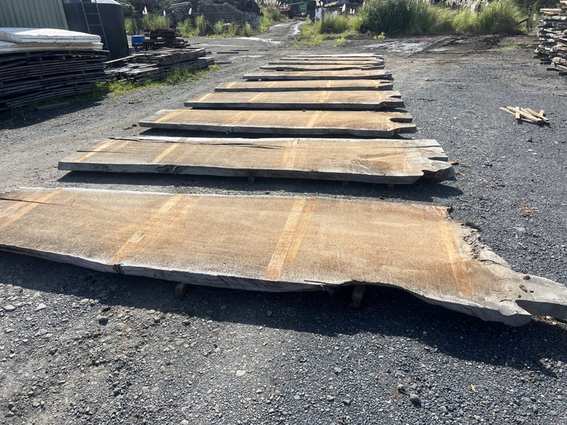 10 × Ancient Swamp Kauri Slabs (LG34) Carousel 1