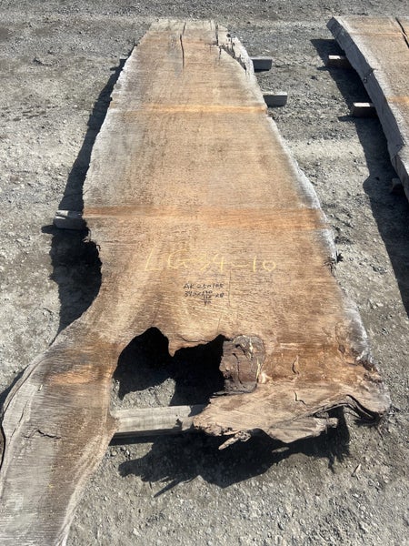 10 × Ancient Swamp Kauri Slabs (LG34) Carousel 2