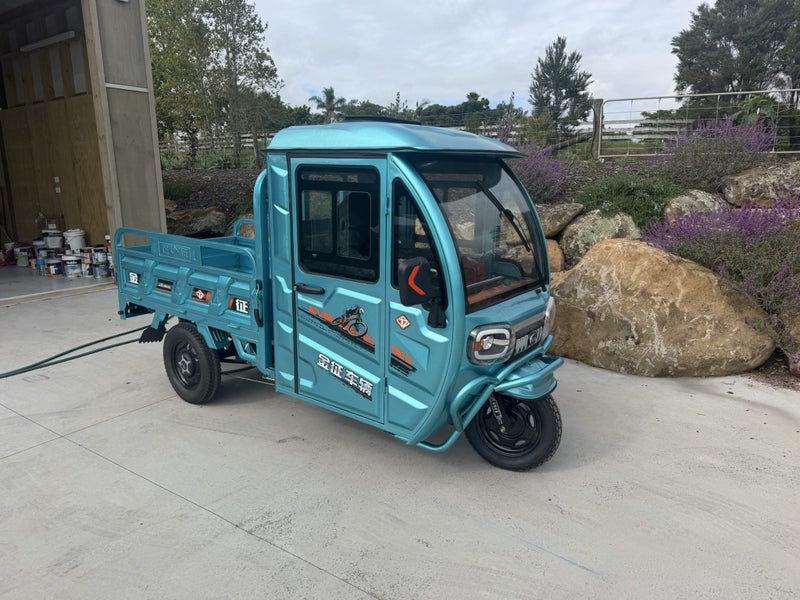Tuk tuk - full electric Carousel 2