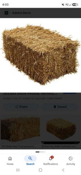 Hay Bales