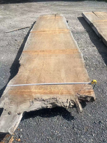 10 × Ancient Swamp Kauri Slabs (LG34) Carousel 16