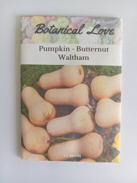 Butternut Waltham Seeds Carousel 2