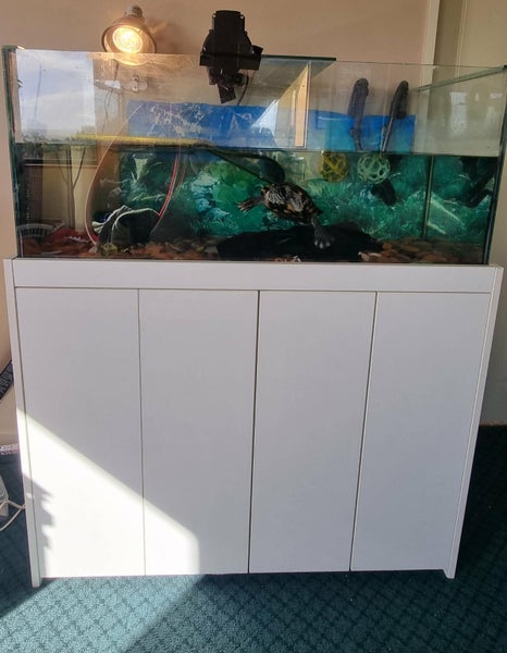 COMPLETE TURTLE SET UP + BFF Carousel 2