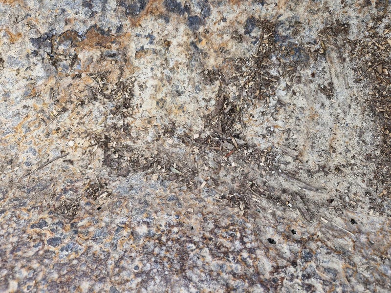 Used MX Tractor Bucket - Euro Hitch **$1 reserve** Carousel 4