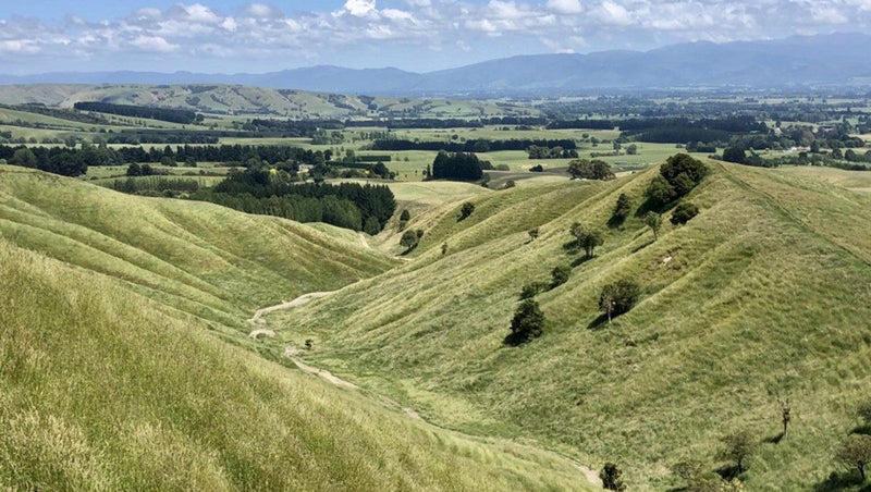 Image 1 of 15