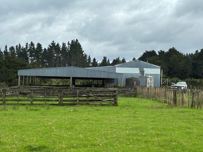 gallery carousel 2