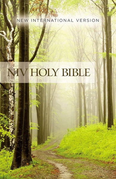 NIV, Value Outreach Bible, Paperback Carousel 1