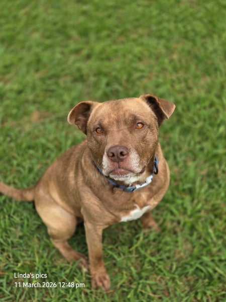 **Kai** Waipa Animal Control Carousel 1