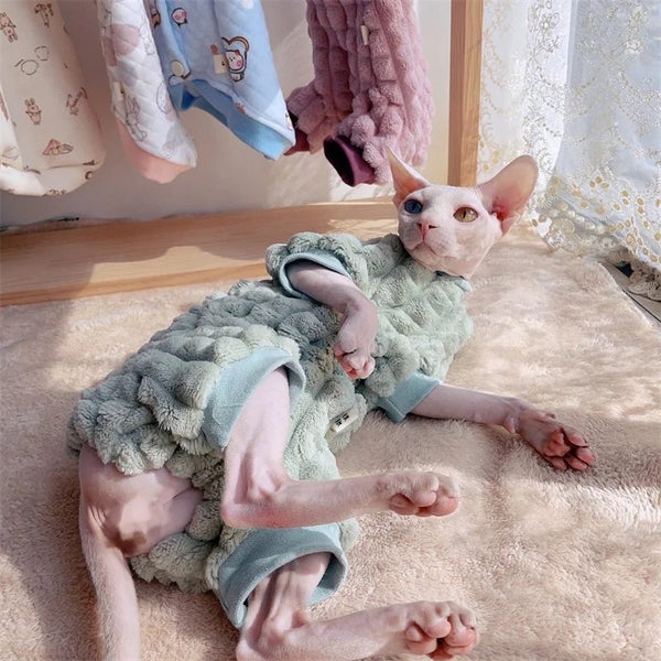 Elegant Warm Sphynx Cat Turtleneck Sweater Hairless Cat Clothes Comfort Winter Carousel 1