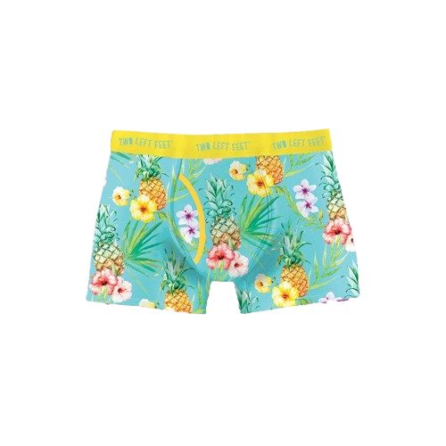 Two Left Feet Men's Underwear SML Pineapple Carousel 1