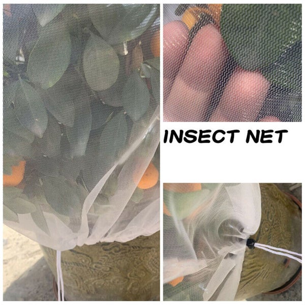 Fruit Fly Net Insect mesh Vegetable Garden Plant Crop Protection Cover Bags Carousel 2