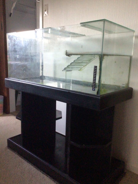 Turtle Tank plus stand and heater Carousel 2
