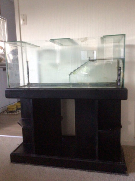 Turtle Tank plus stand and heater Carousel 1