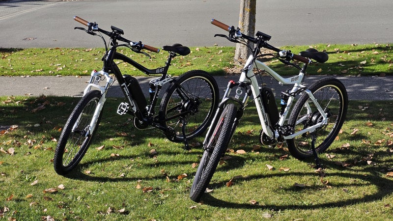 Electric Bike