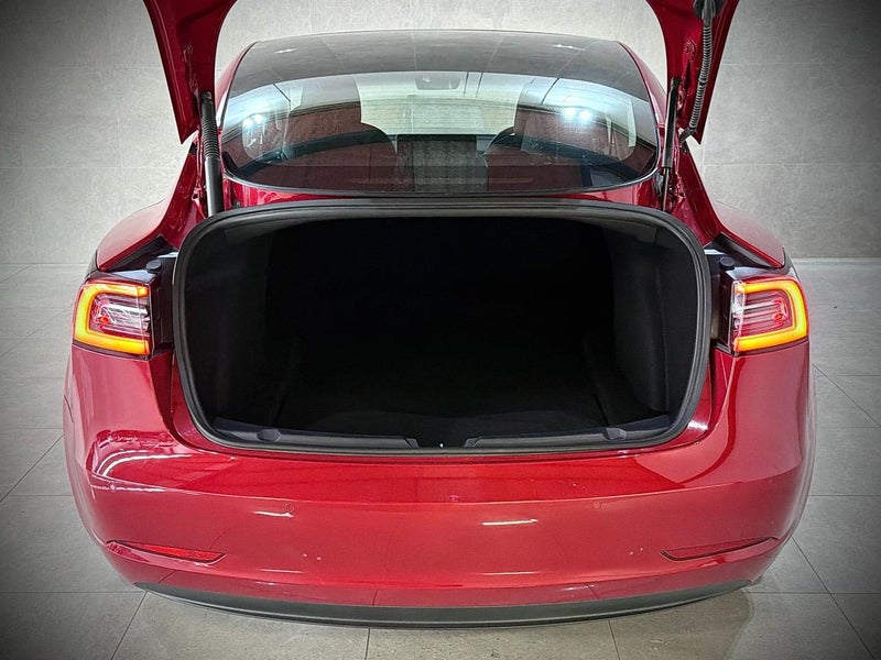 2021 Tesla Model 3 STANDARD RANGE PLUS440051838139115524