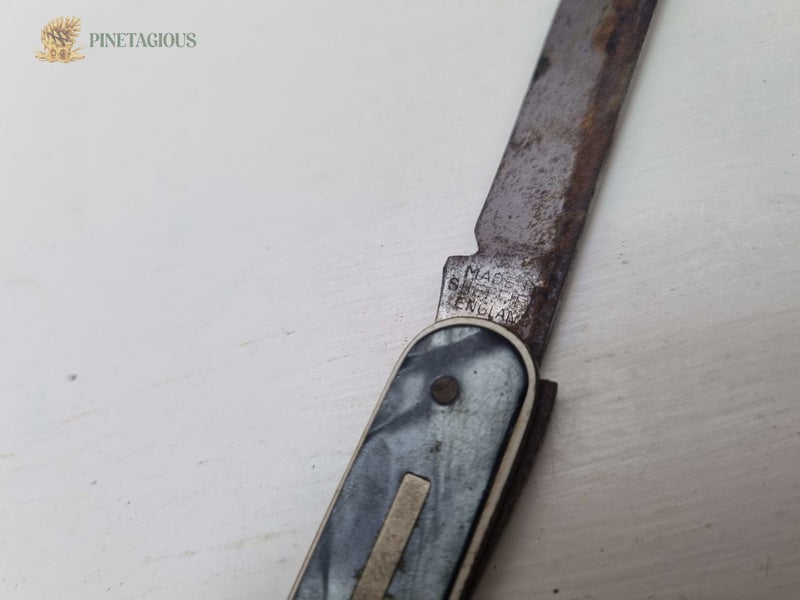 PINETAGIOUS - Vintage 1940 NZ Centennial Exhibition Pocket Knife Carousel 6