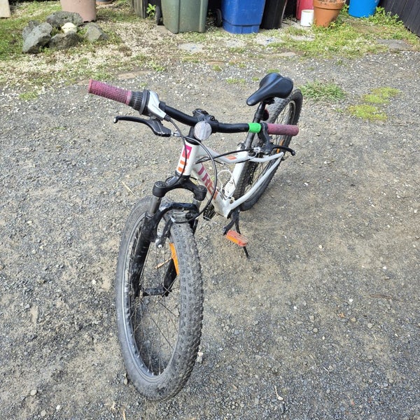 Treck 24 inch Girls Mountain bike r Carousel 3