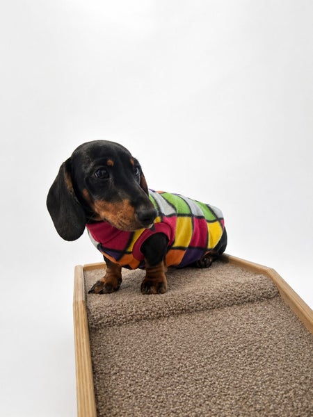 dog jersey Carousel 1