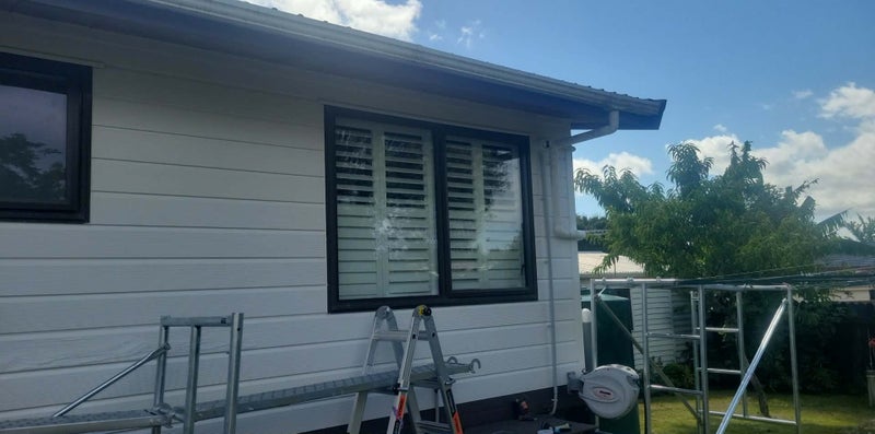 Experienced Hamilton Painter Carousel 5