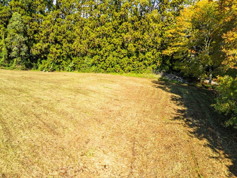 Image 3 of 11