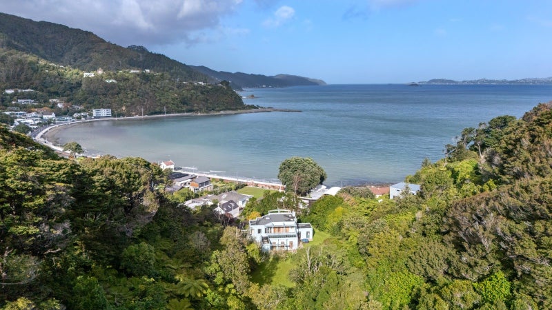 Image 1 of 12