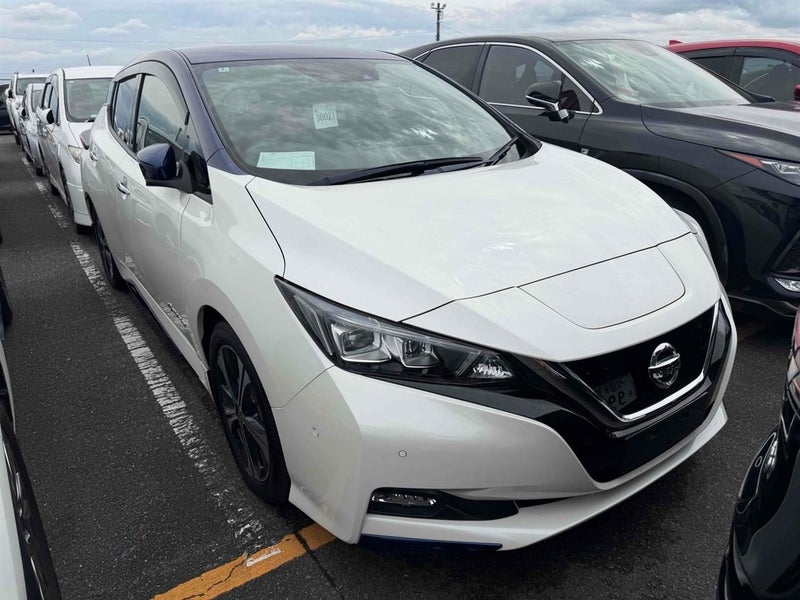 2017 Nissan Leaf G 40kWh Pro Pilot, 360 Camera