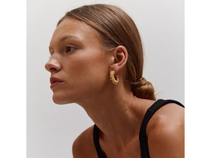 18K Gold PVD Plated Stainless Steel Striped Hoop Earrings Carousel 1