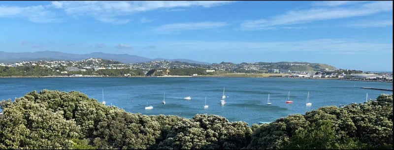 Image 1 of 8