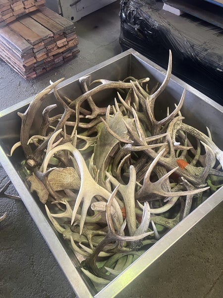 50 Sets of Deer Antlers Carousel 8